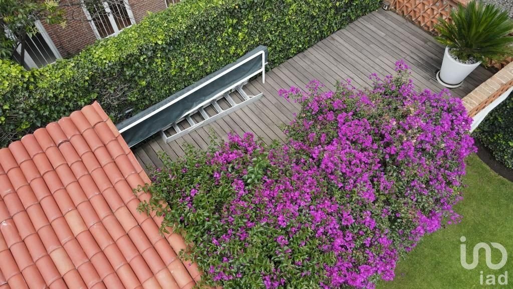 Haus in Mexico 3 - 16316142