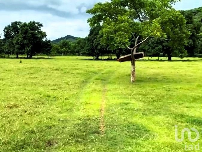 Land in El Capomo, Nayarit, Mexico 4 - 16316144