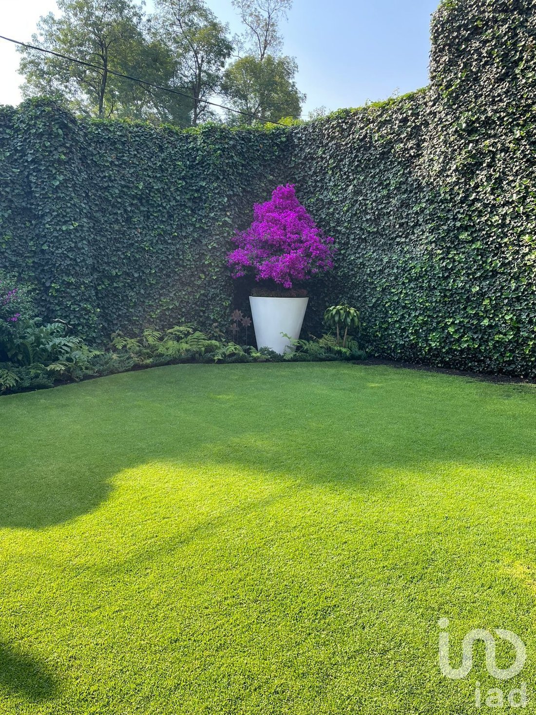 Haus in Mexico 4 - 16316142