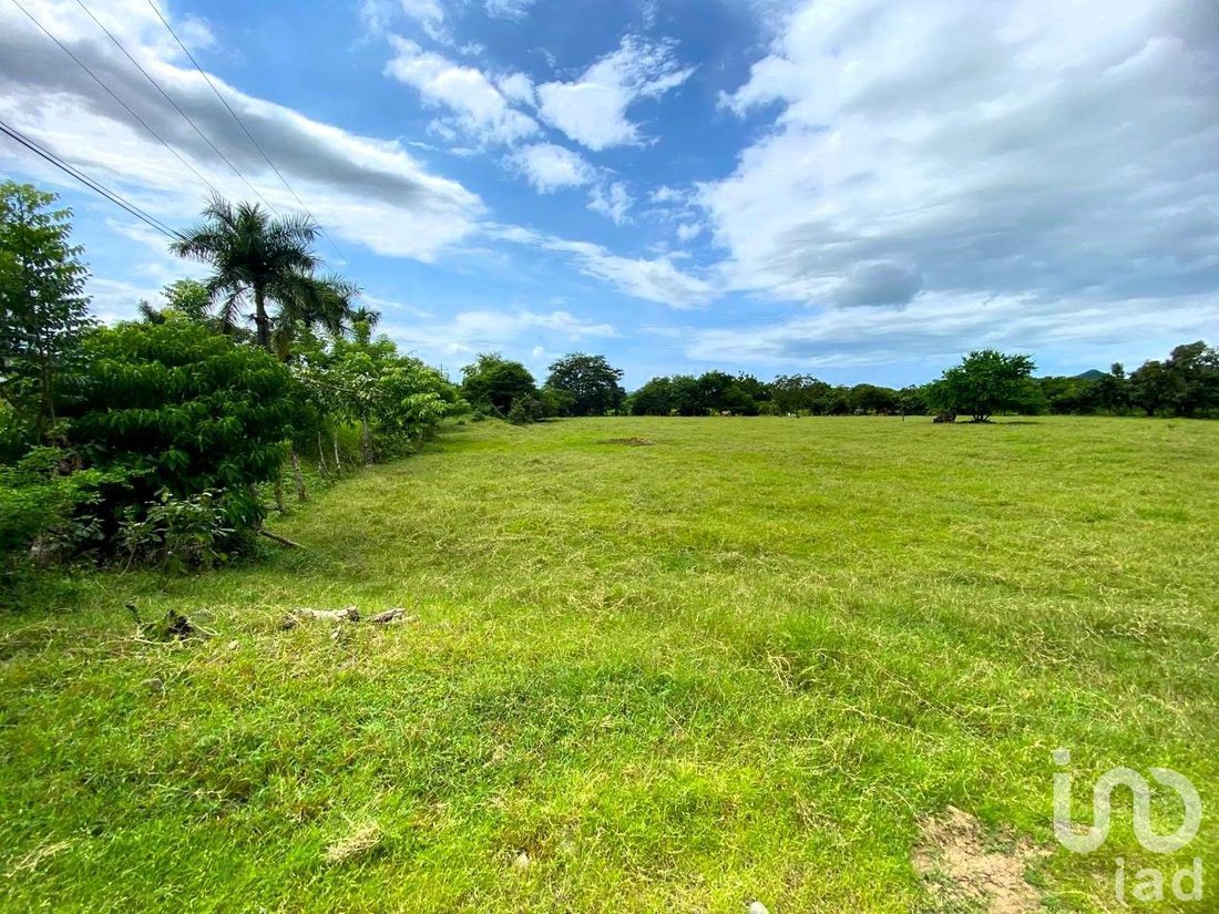 Land in El Capomo, Nayarit, Mexico 3 - 16316144