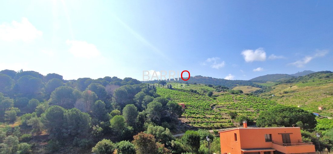House in Collioure, Occitania, France 5 - 16002180