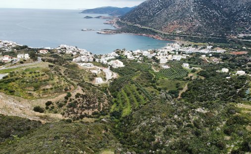 Land in Milopotamos, Griechenland 1