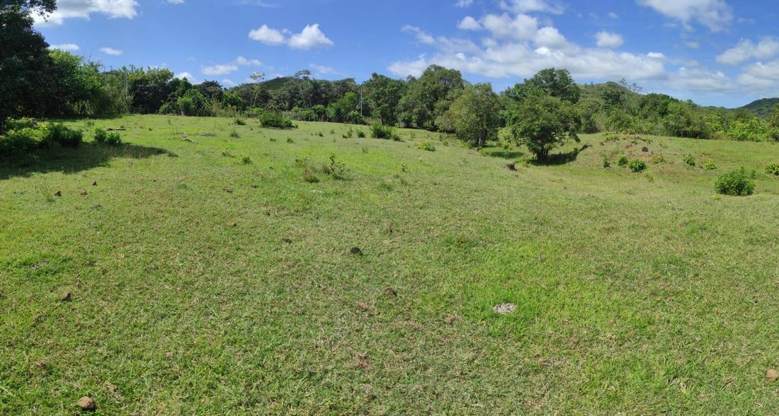 Land in La Peana, Veraguas Province, Panama 1 - 16320844