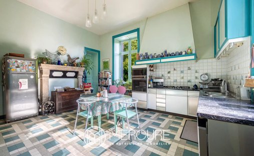 Beautiful Aristocratic Chateau For Sale Near Limoges