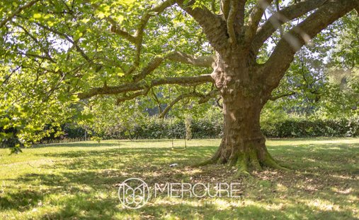 Beautiful Aristocratic Chateau For Sale Near Limoges