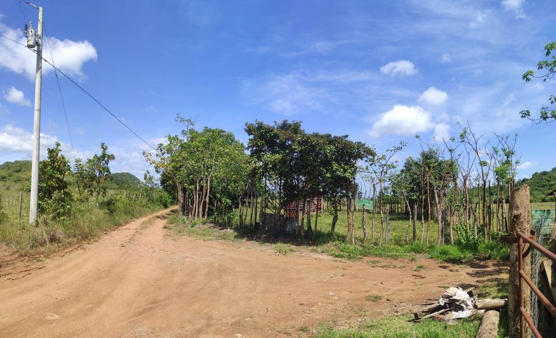 Land in La Peana, Veraguas Province, Panama 3 - 16320844