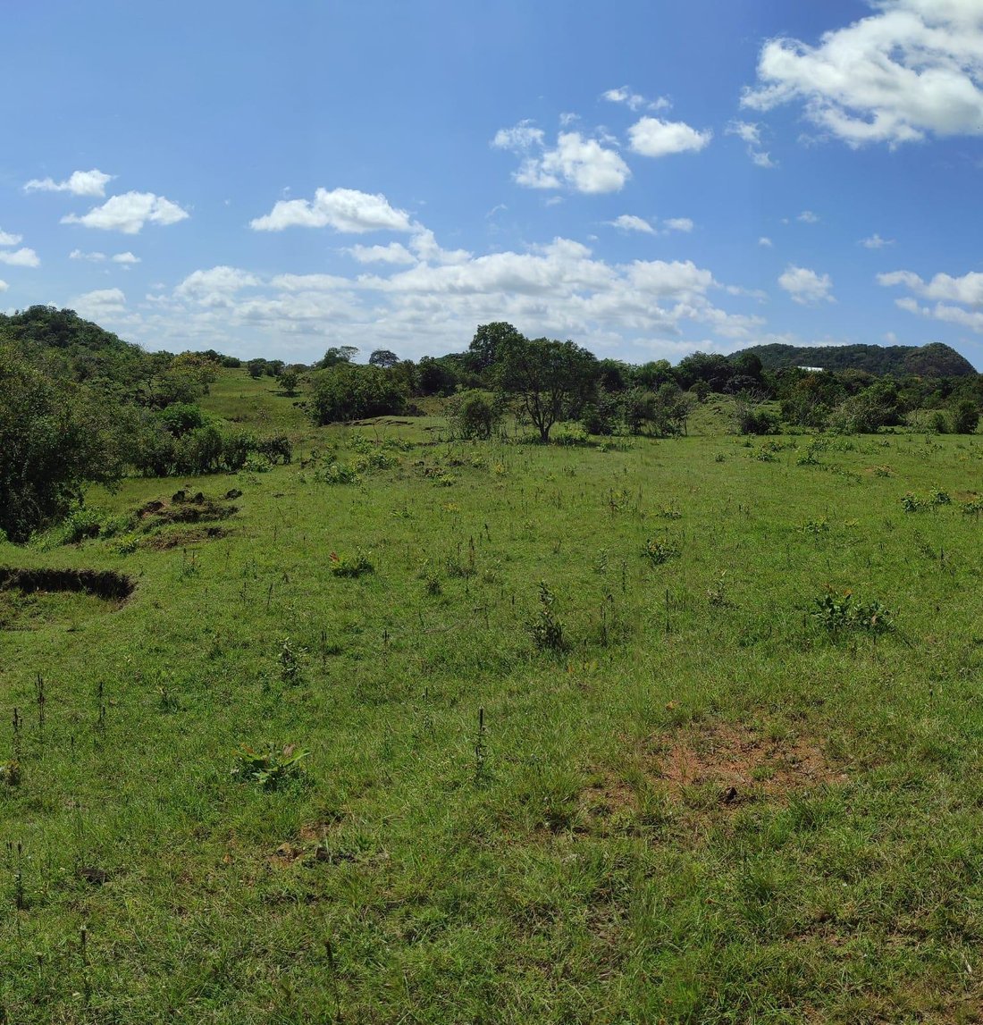 Land in La Peana, Veraguas Province, Panama 2 - 16320844