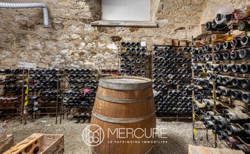 Beautiful Aristocratic Chateau For Sale Near Limoges