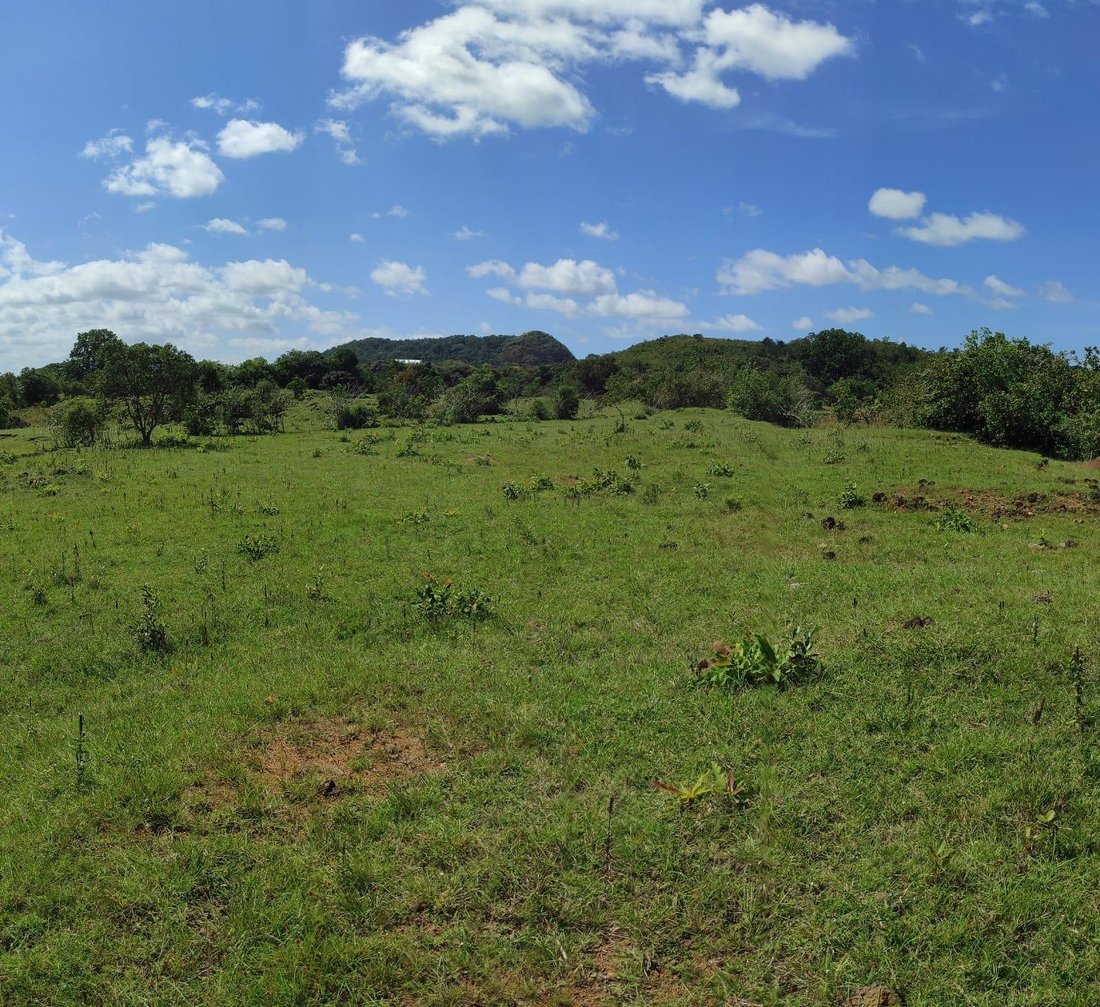 Land in La Peana, Veraguas Province, Panama 5 - 16320844