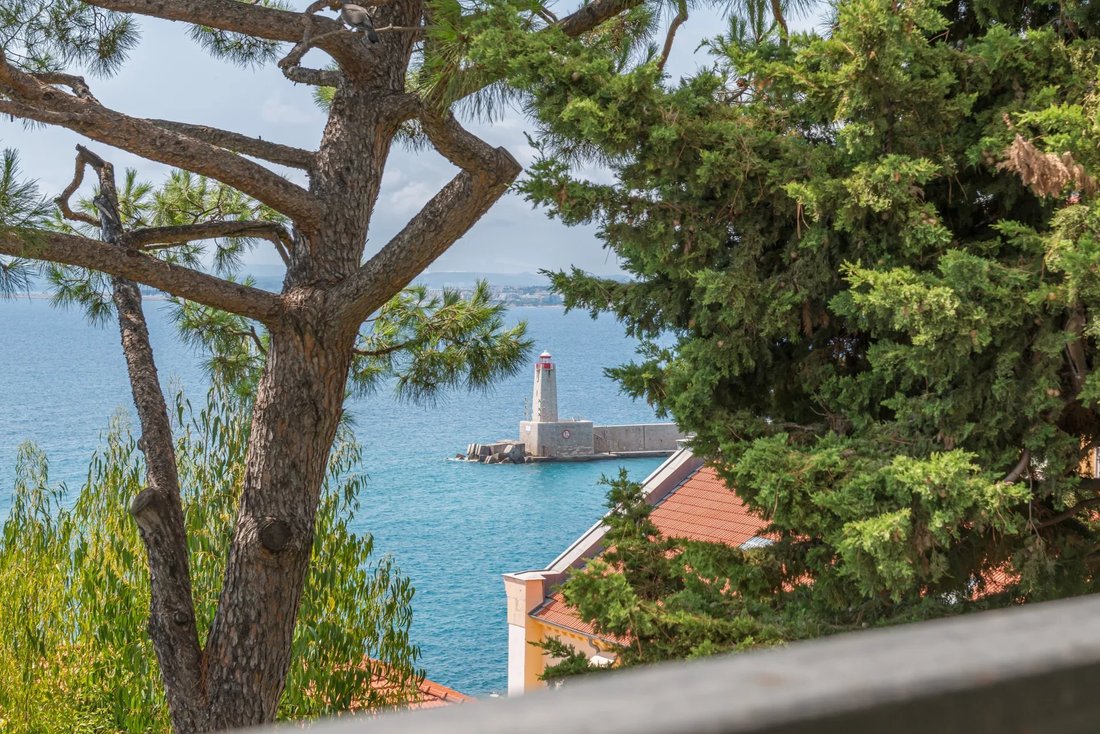 Apartment in Le Port, Nice, France 1 - 16320505