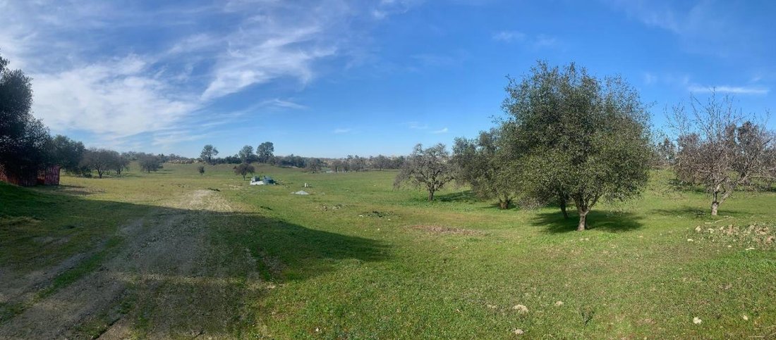 House in Wallace, California, United States 1 - 16320706