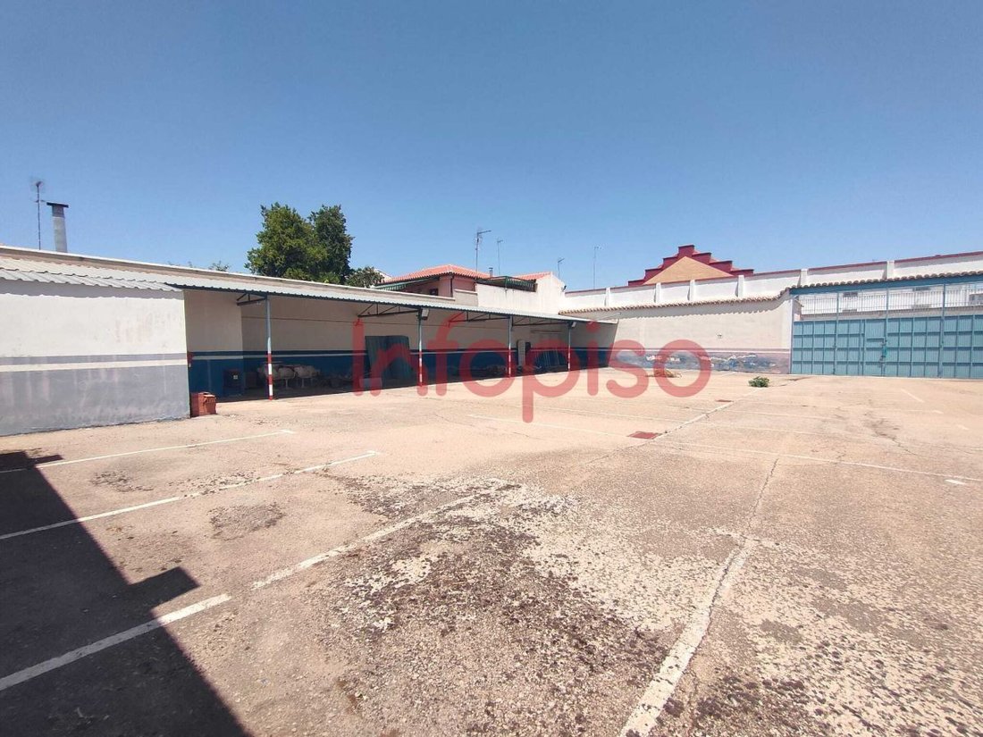 Valdepenas, Castile-La Mancha, Spain 2 - 16321044