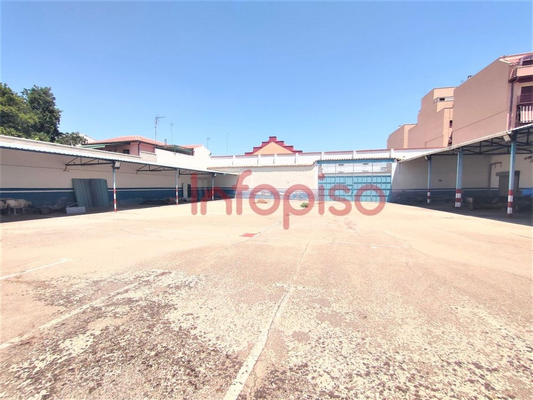 Valdepenas, Castile-La Mancha, Spain 5 - 16321044