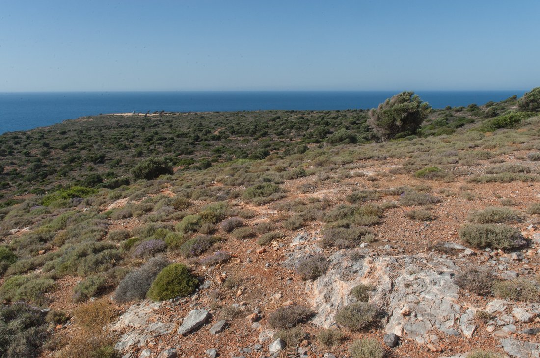 Land in Community of Meseleri, Ierapetra, Greece 3 - 16321127