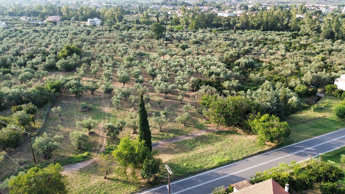 Land in Community of Mystras, Peloponnese, Western Greece and the Ionian, Greece 4 - 16321125