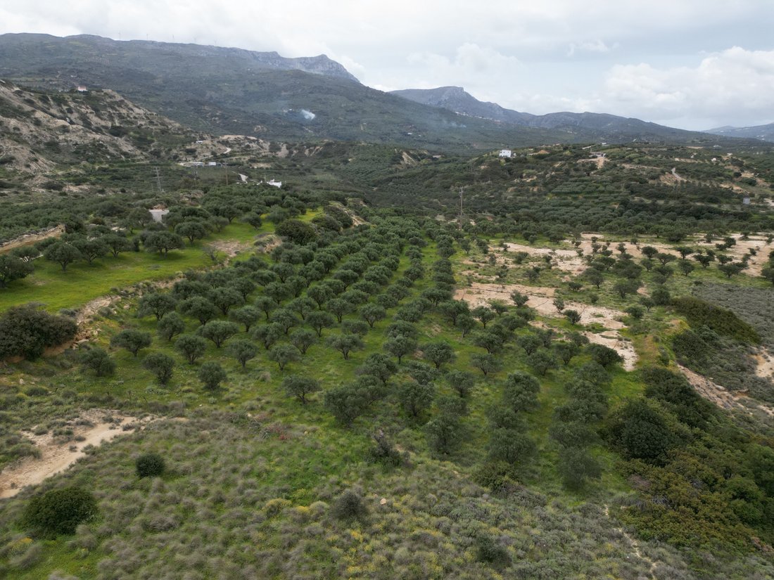 Terreno en Community of Sitia, Sitia, Grecia 2 - 16321139