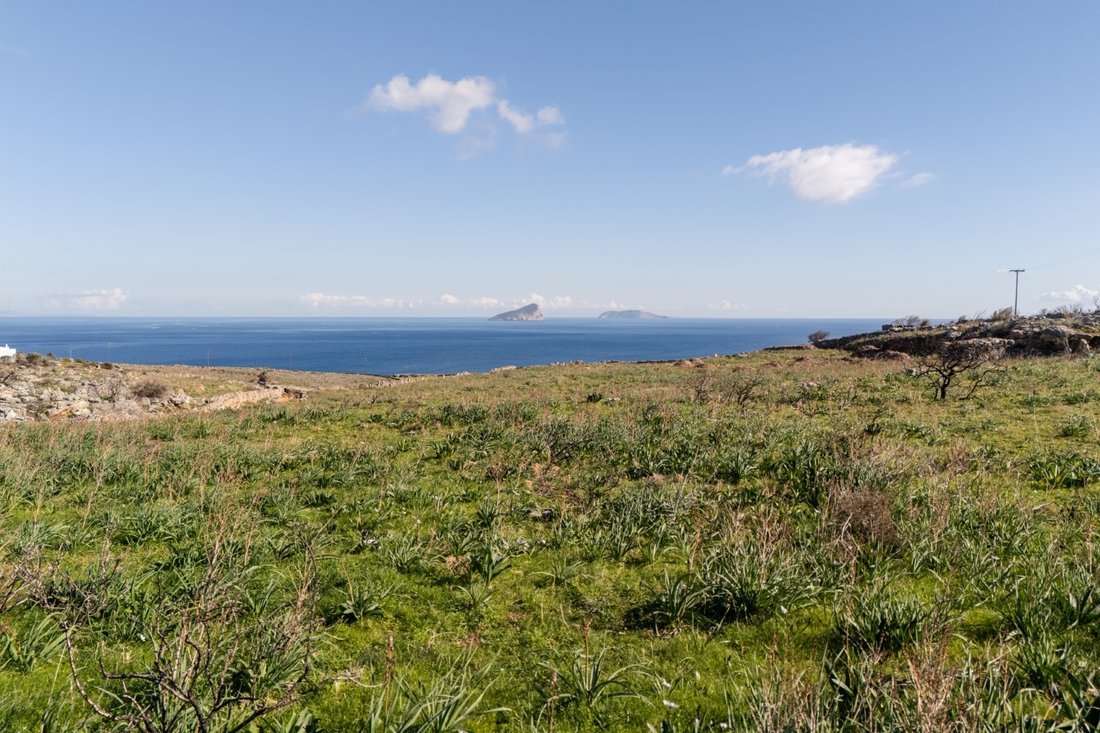 Land in Community of Dryopida, Aegean, Griechenland 3 - 16321165