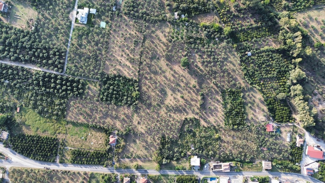 Land in Community of Mystras, Peloponnese, Western Greece and the Ionian, Greece 5 - 16321125