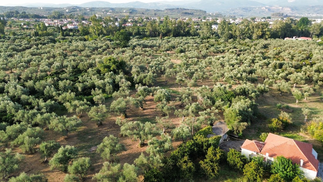 Land in Community of Mystras, Peloponnese, Western Greece and the Ionian, Greece 1 - 16321125