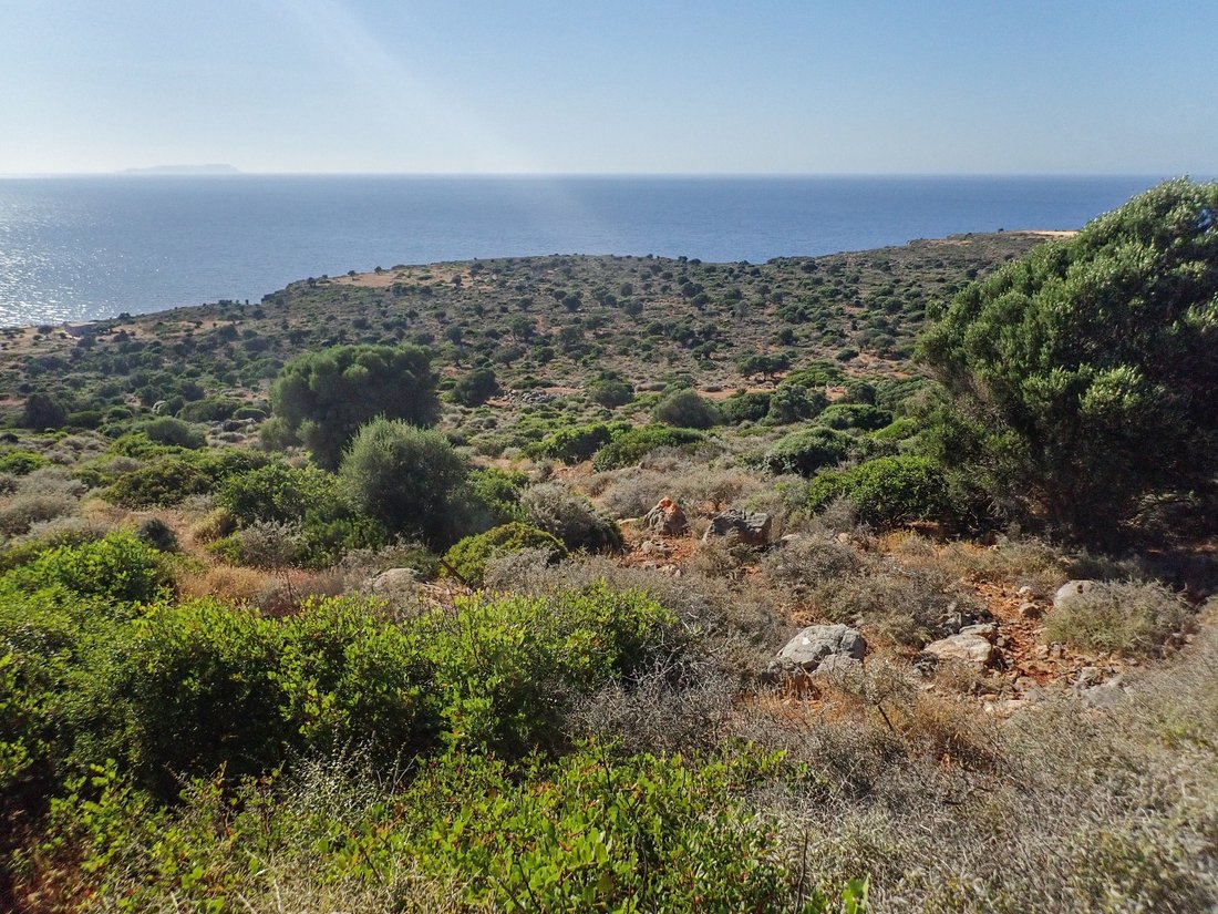 Land in Community of Meseleri, Ierapetra, Greece 5 - 16321127