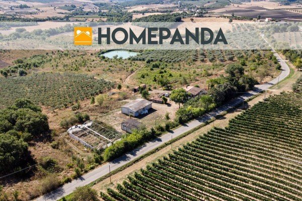 Country House in Scansano, Tuscany, Italy 2 - 16323141
