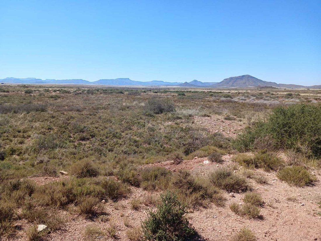 Farm Ranch in Tarkastad, Eastern Cape, South Africa 5 - 16322272