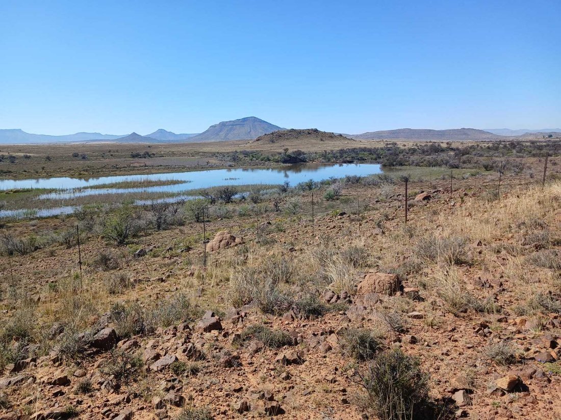 Farm Ranch in Tarkastad, Eastern Cape, South Africa 3 - 16322272