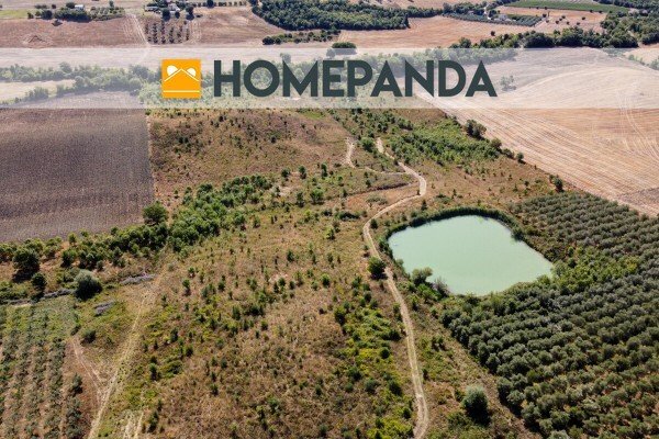 Country House in Scansano, Tuscany, Italy 5 - 16323141