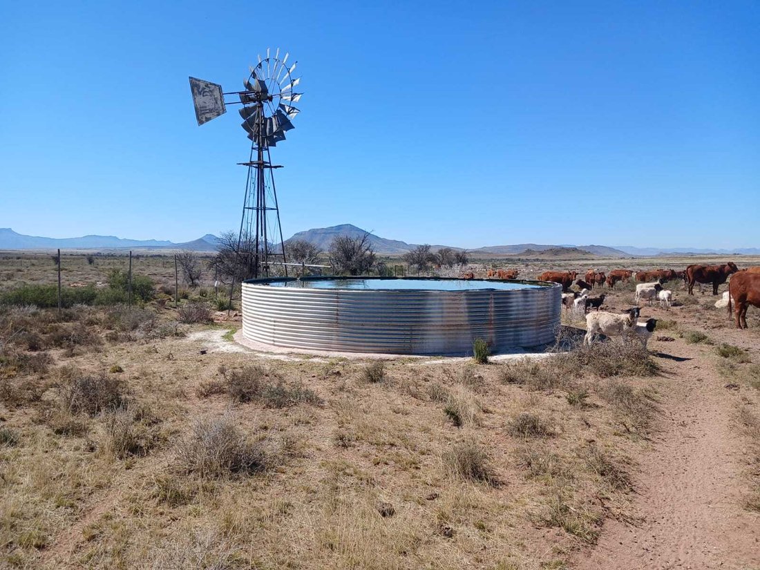 Farm Ranch in Tarkastad, Eastern Cape, South Africa 2 - 16322272