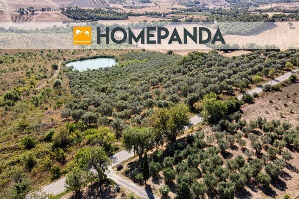 Country House in Scansano, Tuscany, Italy 4 - 16323141