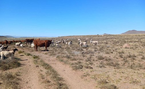 Farm Ranch in Tarkastad, Eastern Cape, South Africa 1
