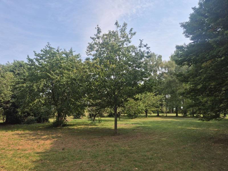 House in Sully-sur-Loire, Centre-Val de Loire, France 4 - 16322846