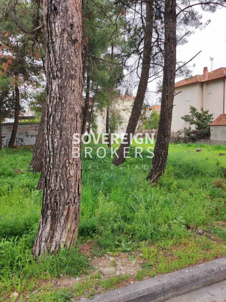 Land in Oraiokastro, Macedonia and Thrace, Greece 1 - 16321516