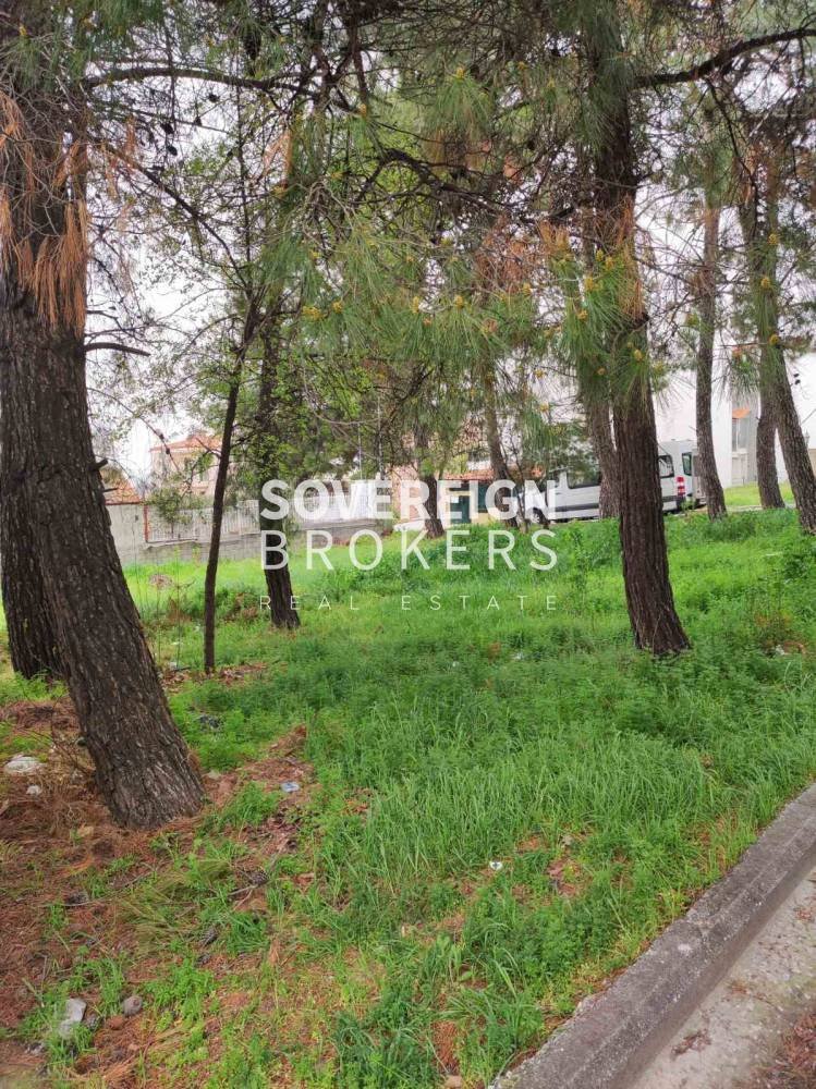 Land in Oraiokastro, Macedonia and Thrace, Greece 3 - 16321516