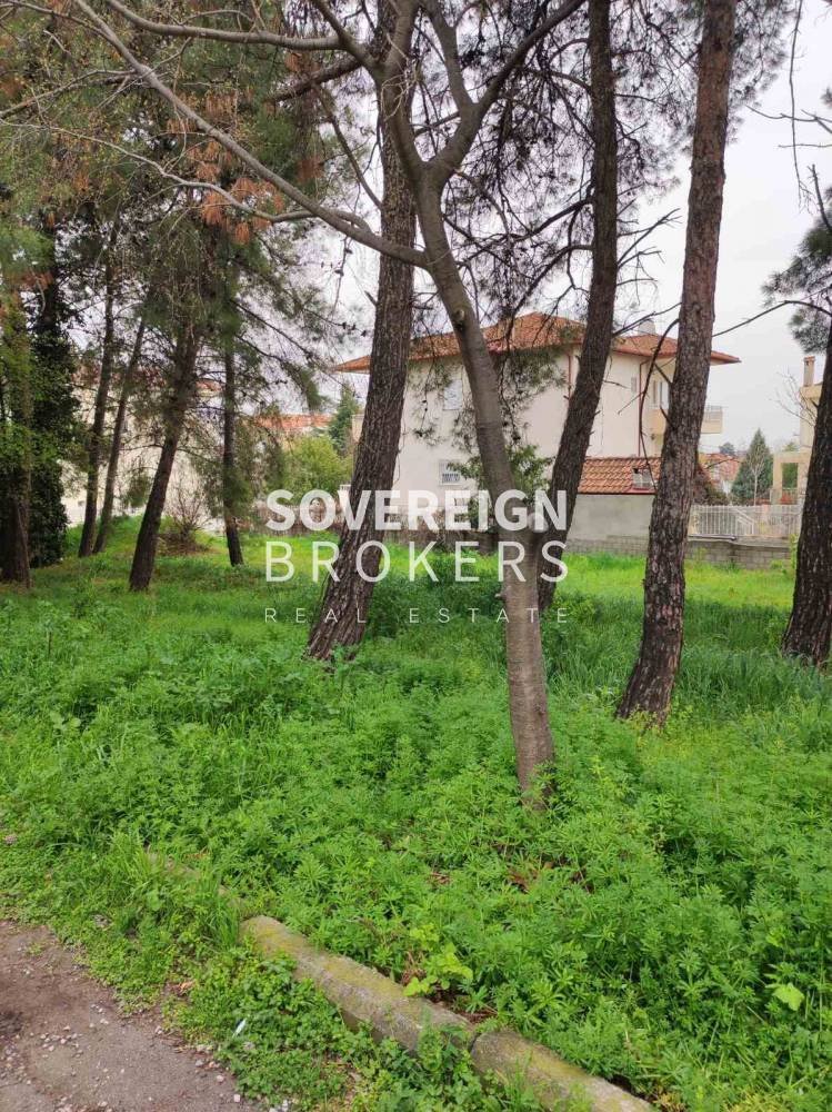 Land in Oraiokastro, Macedonia and Thrace, Greece 2 - 16321516