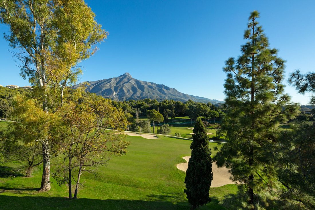 Villa in Marbella, Andalusia, Spain 2 - 16322015