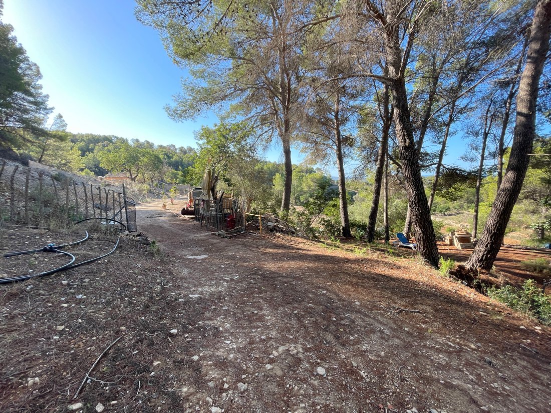 Country House in Calvia, Balearic Islands, Spain 5 - 16323257