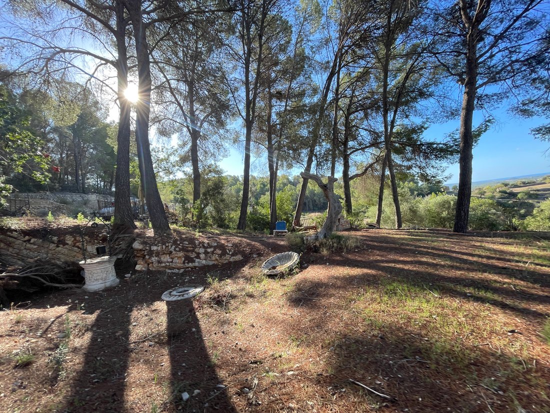 Country House in Calvia, Balearic Islands, Spain 4 - 16323257