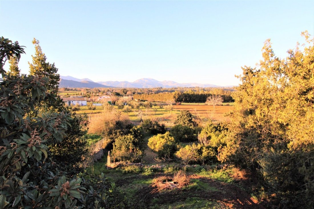 Country House in Llubi, Balearic Islands, Spain 4 - 15107678