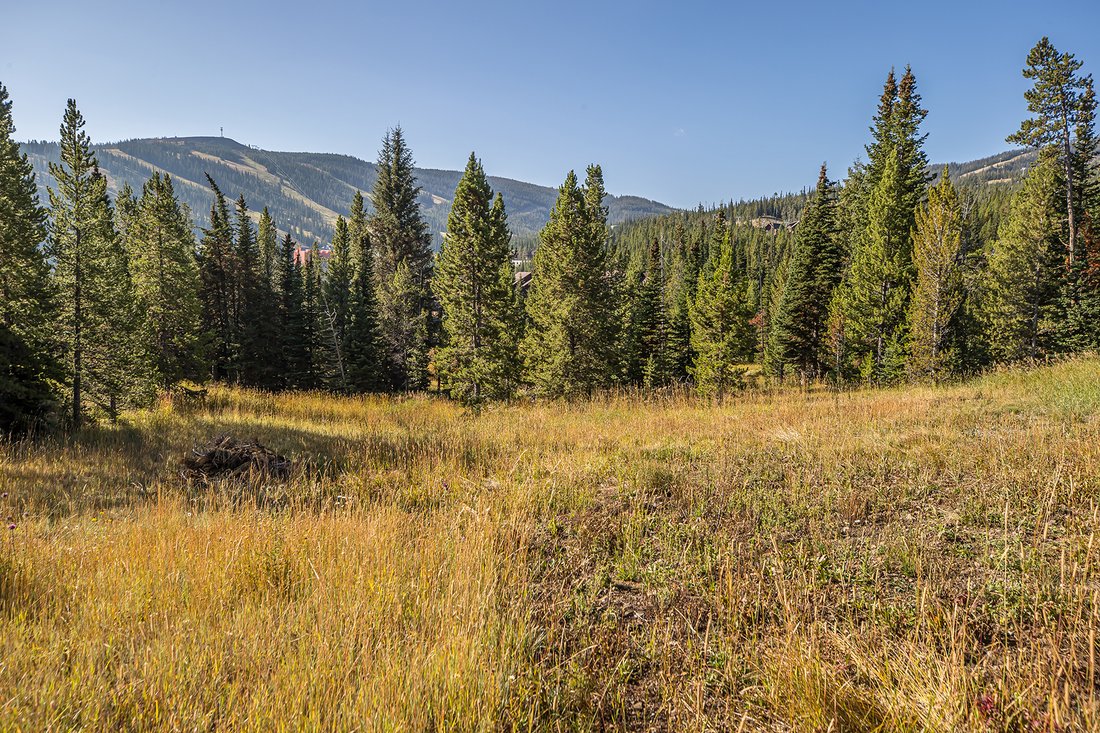 Land in Gallatin Gateway, Montana, United States 5 - 16213633