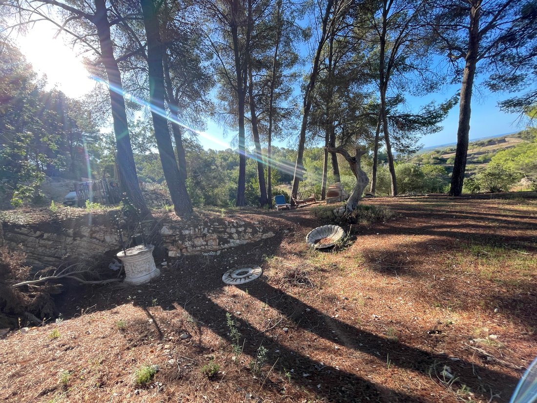 Country House in Calvia, Balearic Islands, Spain 2 - 16323257