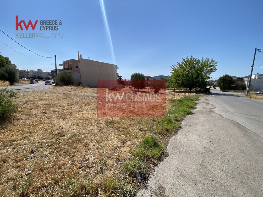 Land in Drosia Municipal Commune, Anthidon, Greece 3 - 16323944