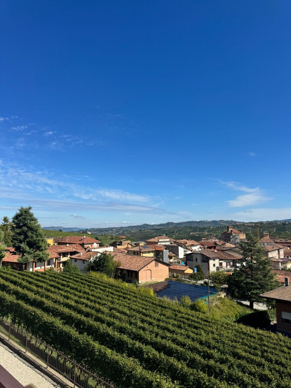 House in Barolo, Piedmont, Piedmont, Italy 5 - 16323780