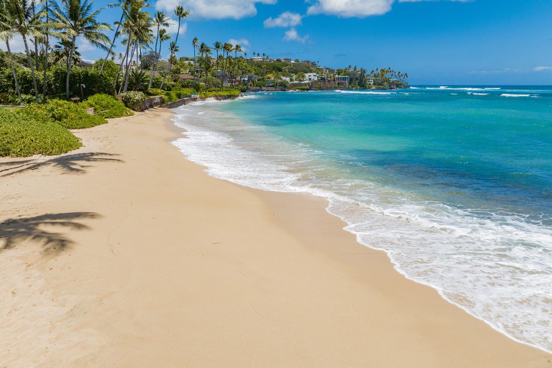 House in Honolulu, Hawaii, United States 3 - 16323584
