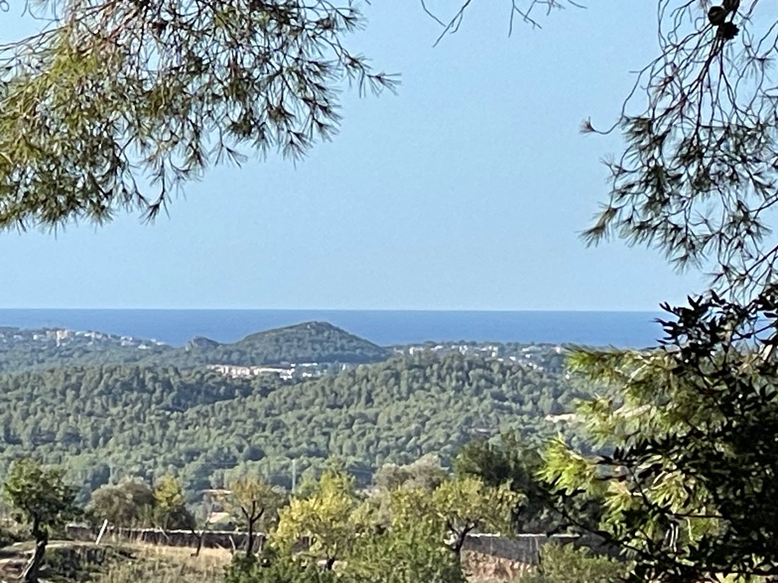 Country House in Calvia, Balearic Islands, Spain 1 - 16323257