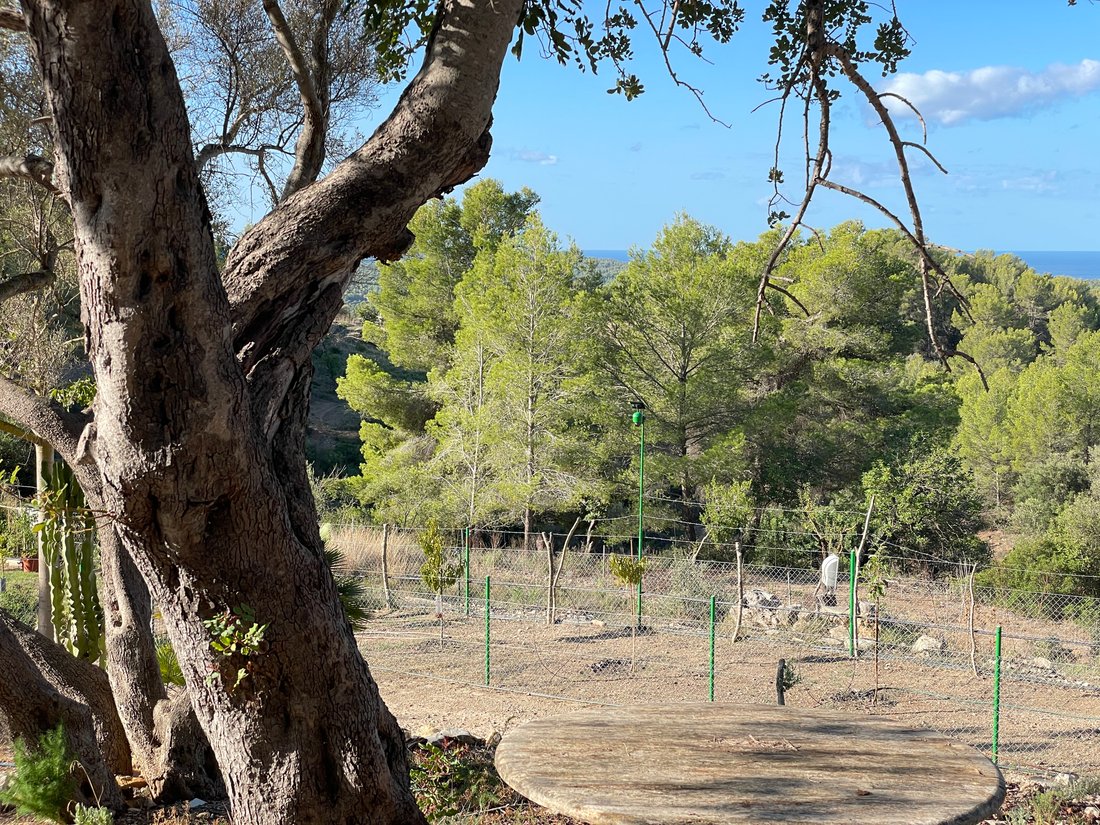 Country House in Calvia, Balearic Islands, Spain 3 - 16323257