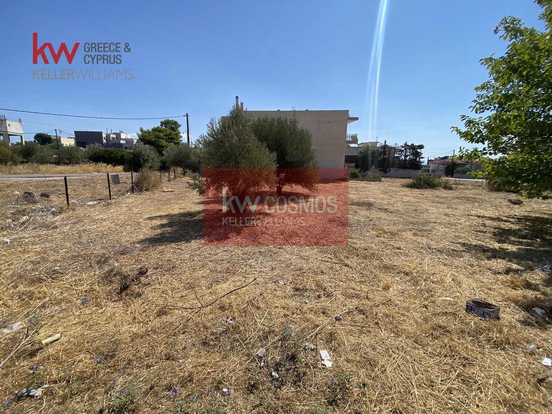 Land in Drosia Municipal Commune, Anthidon, Greece 5 - 16323944
