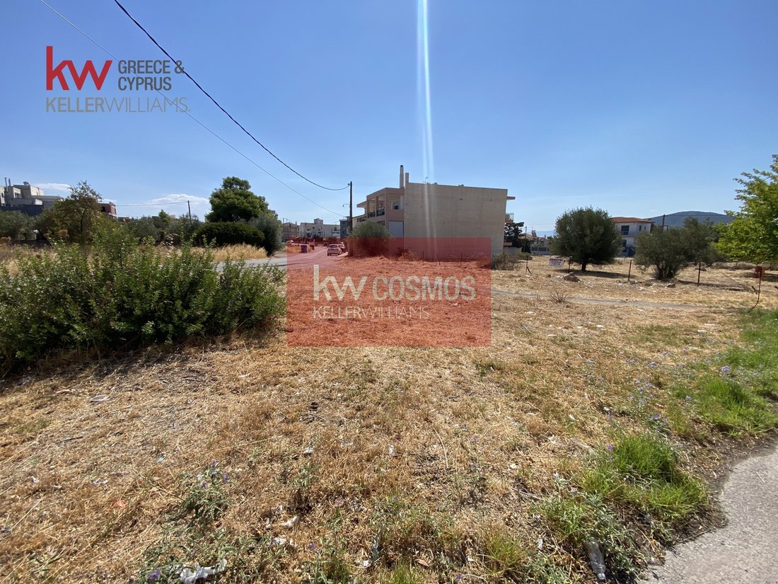 Land in Drosia Municipal Commune, Anthidon, Greece 2 - 16323944