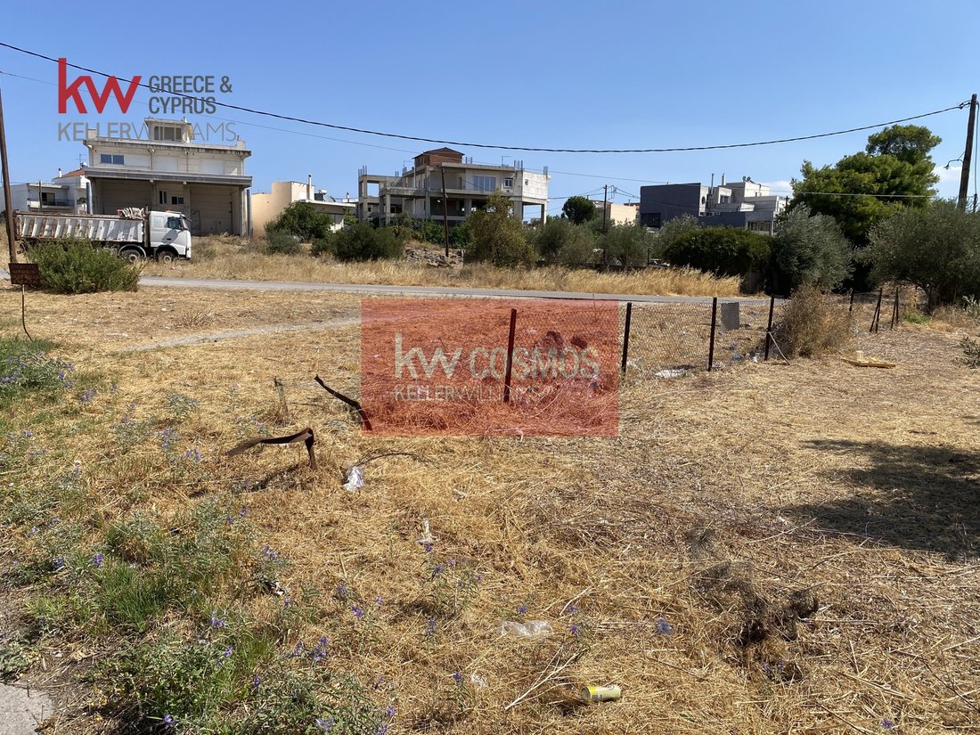 Land in Drosia Municipal Commune, Anthidon, Greece 4 - 16323944