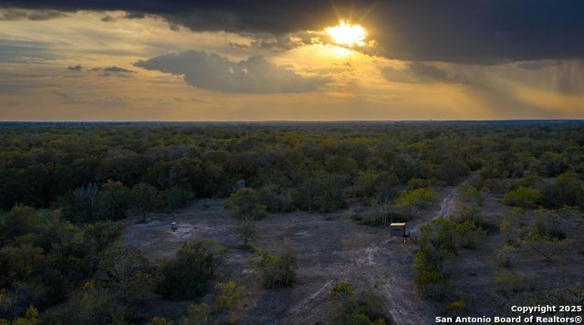 Farm Ranch in Gonzales, Texas, United States 2 - 16322422